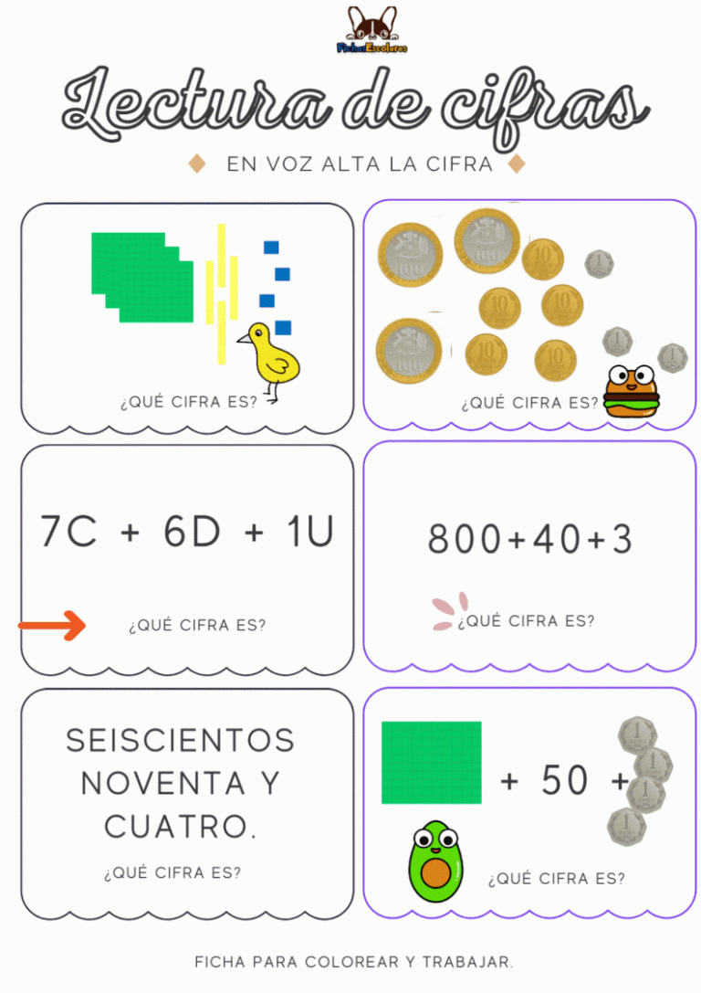 Representación de cifras