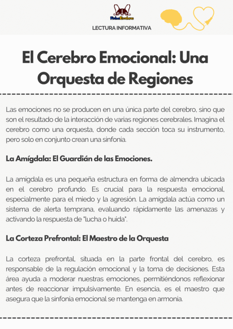 Lectura informativa: El Cerebro Emocional: Una Orquesta de Regiones